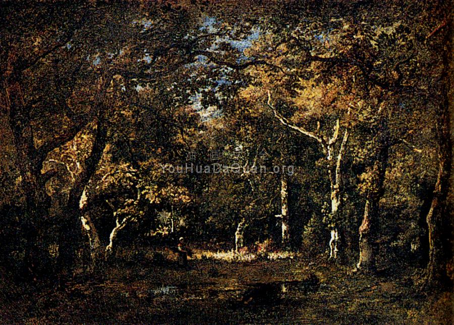 Carrefour De La Mare Aux Corneilles - 狄亚兹